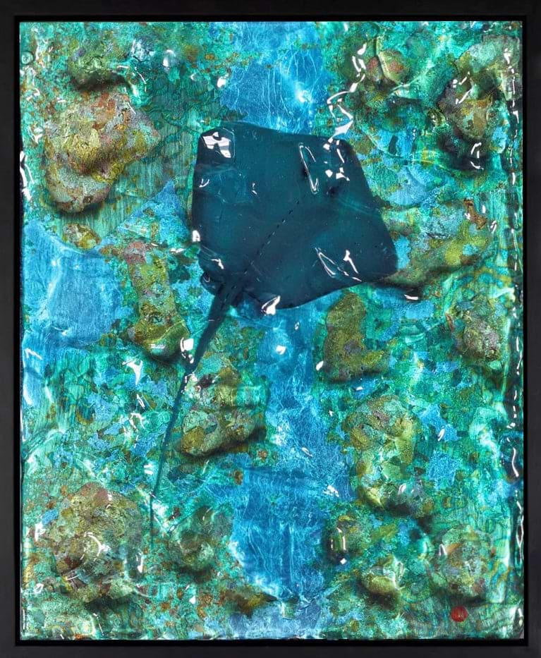 Stingrays Reef