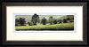 A Walk Through Buttercup Meadow (Study)