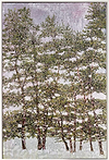Enchanted Forest II
