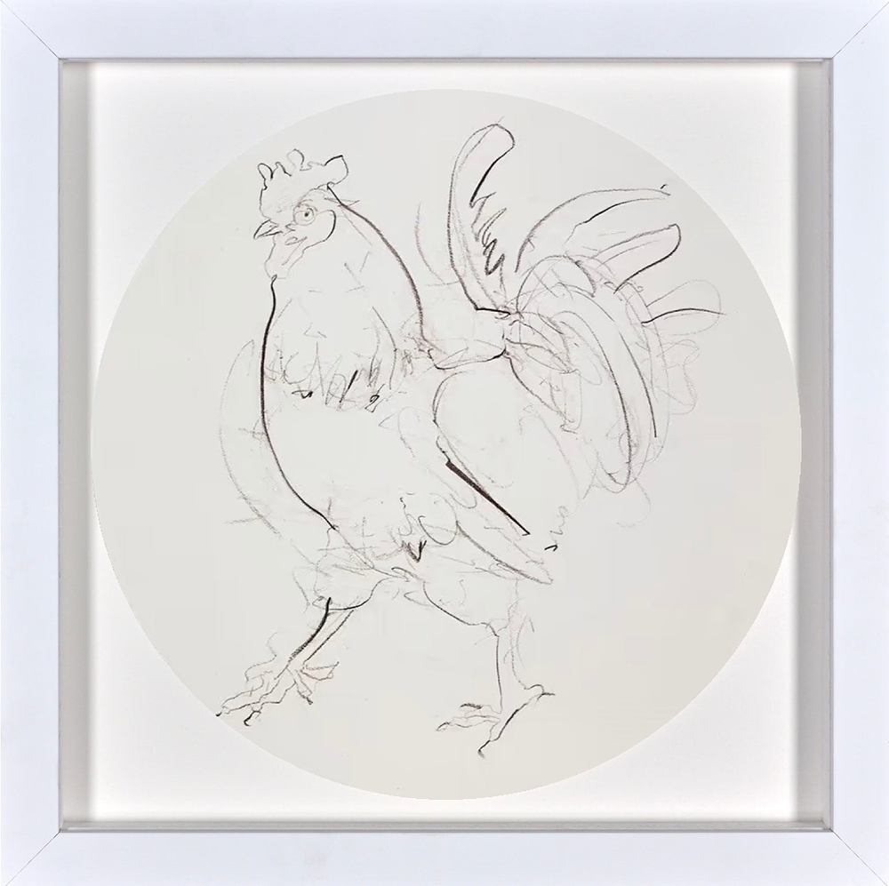 Rooster Sketch