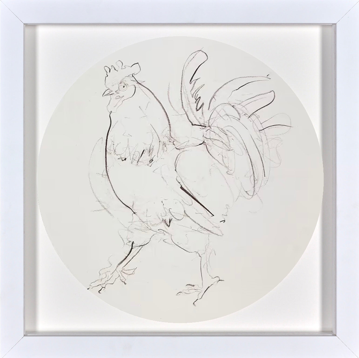 Rooster Sketch