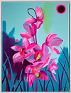 Cymbidium Eclipse