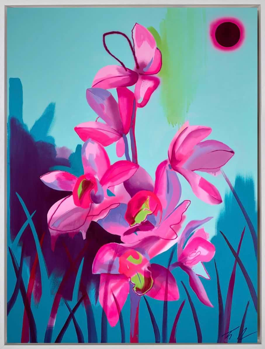 Cymbidium Eclipse