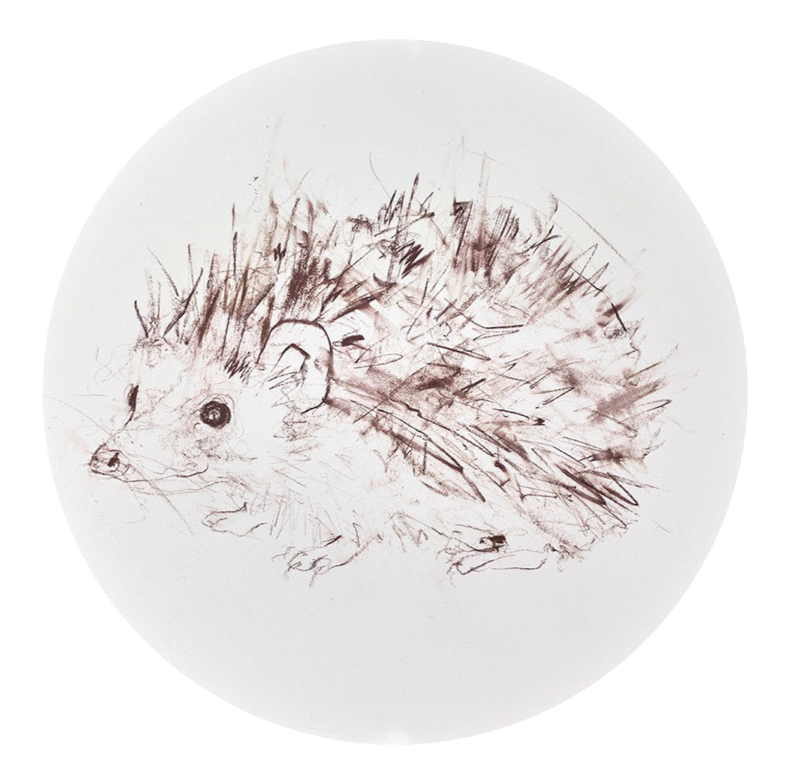 Hedgehog Study II