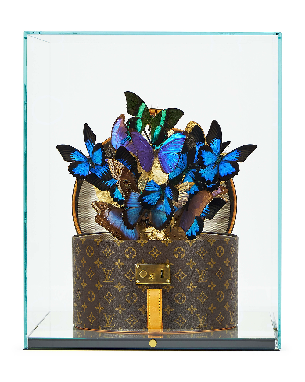 Louis Vuitton Hat Trunk