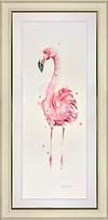 Fabulous Pink Knees- Flamingo