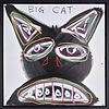 Big Cat