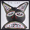 Big Cat