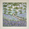Bluebell Blooms VI