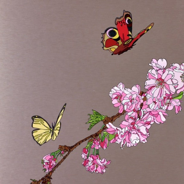 Blossoms And Butterflies