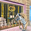 Window Shopping