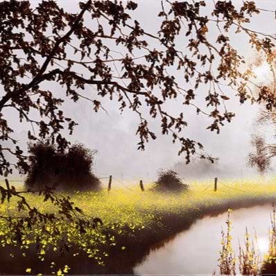 Walking Through Sunshine
