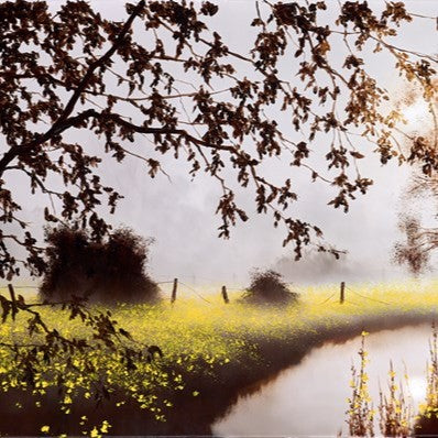 Walking Through Sunshine