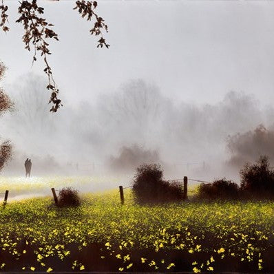 Walking Through Sunshine