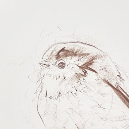 Long Tailed Tit Sketch V