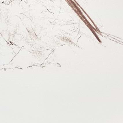 Long Tailed Tit Sketch V