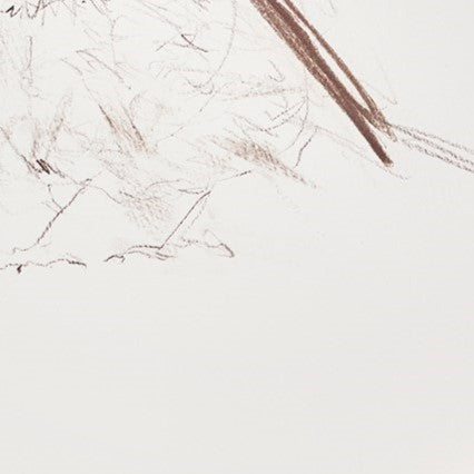 Long Tailed Tit Sketch V