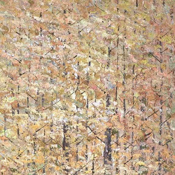 Autumn Dreams V