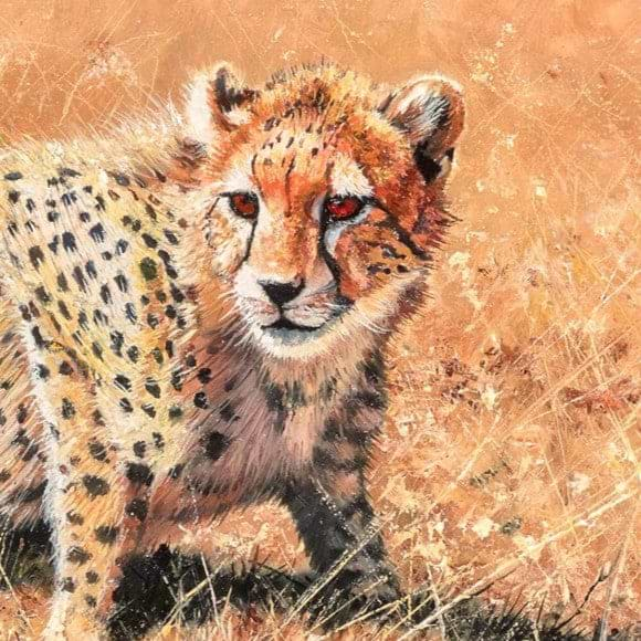 Cheetah Cub III