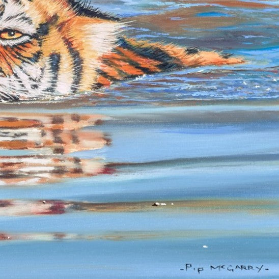 Tiger Cub In Water