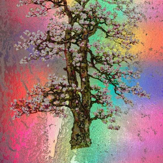 Edith, Rainbow Blossom