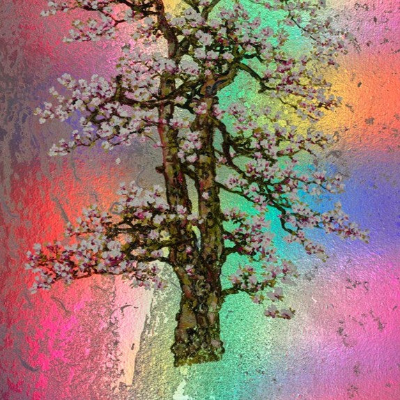 Edith, Rainbow Blossom