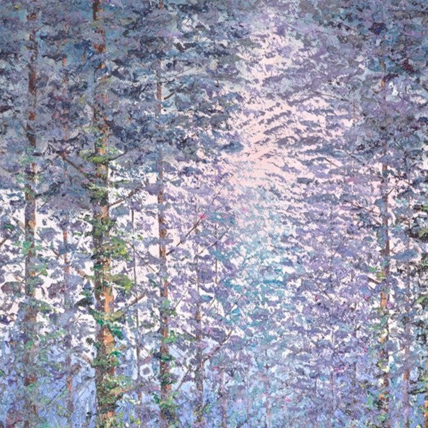 Serene Woodland V