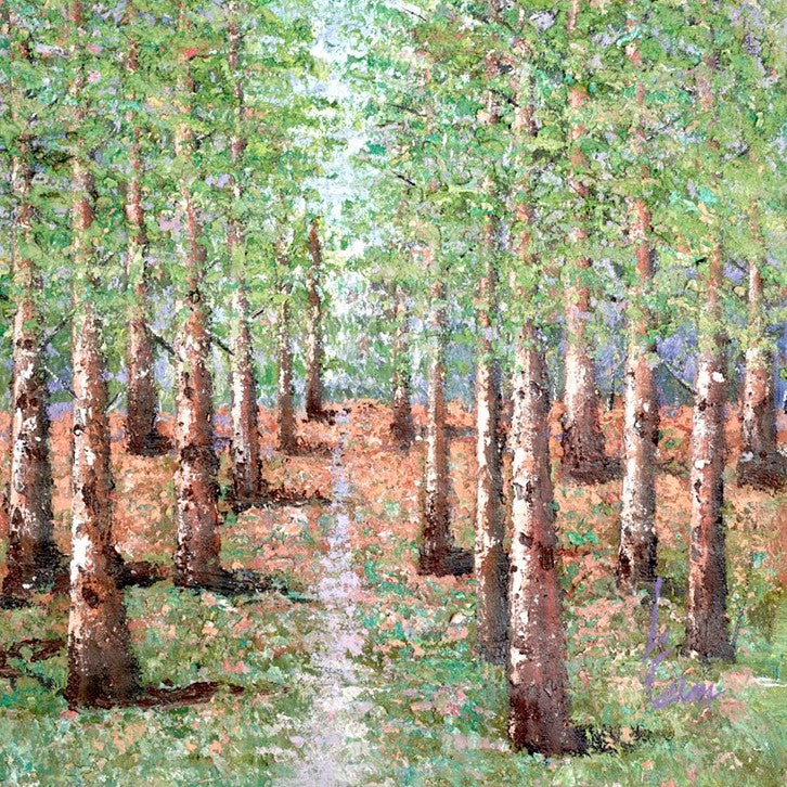 Serene Landscapes
