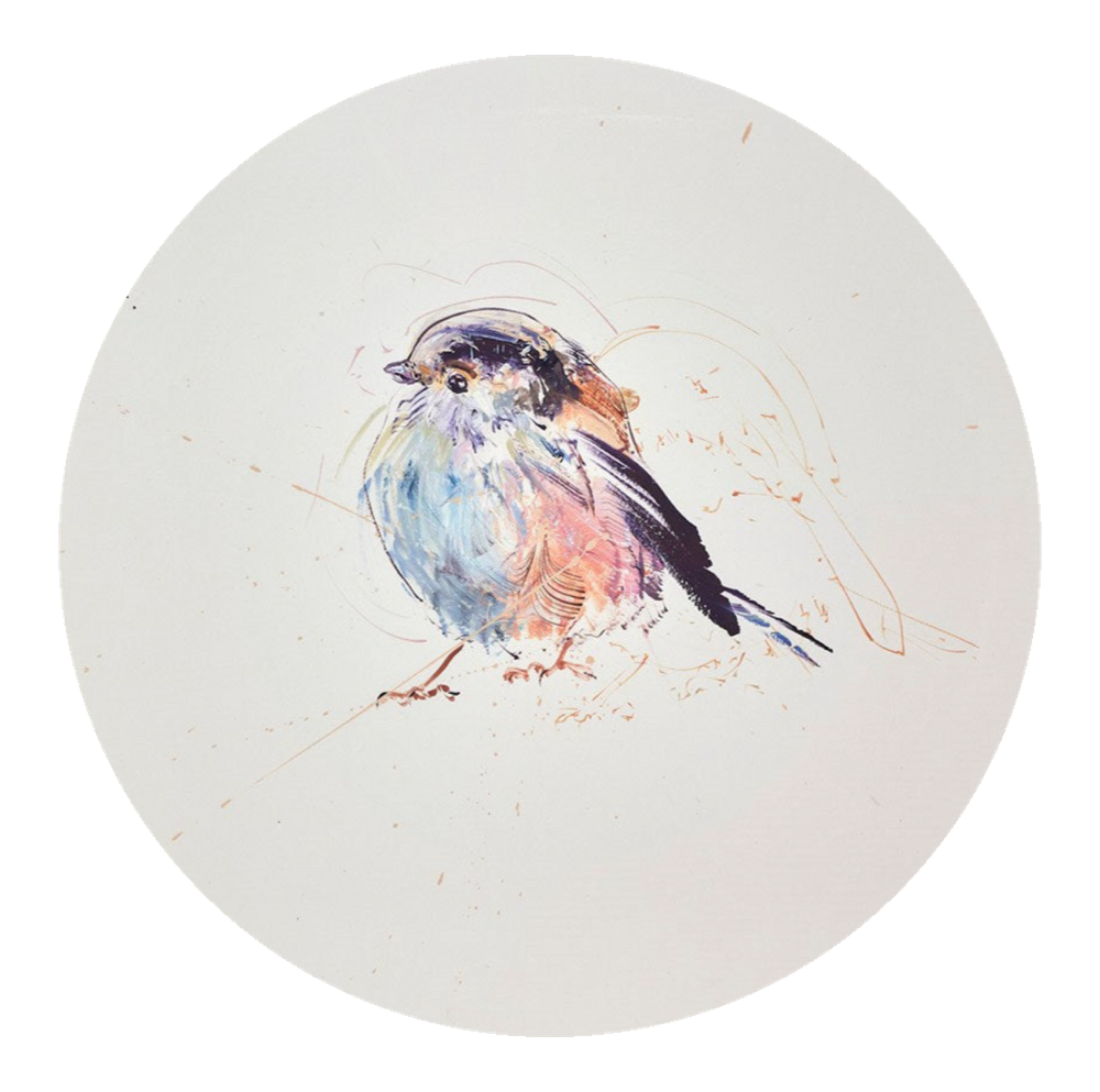 Long Tailed Tit Study III