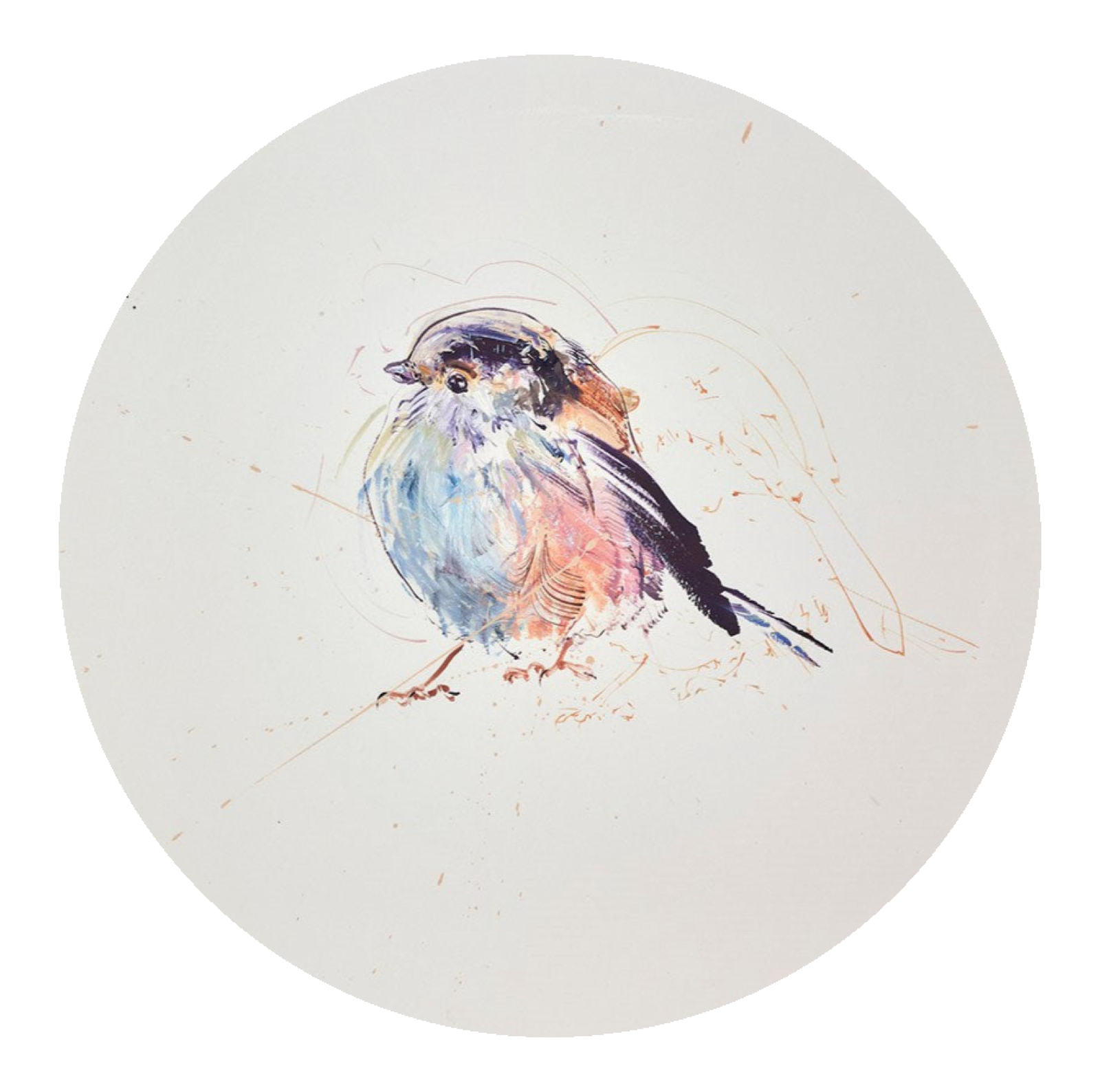 Long Tailed Tit Study III