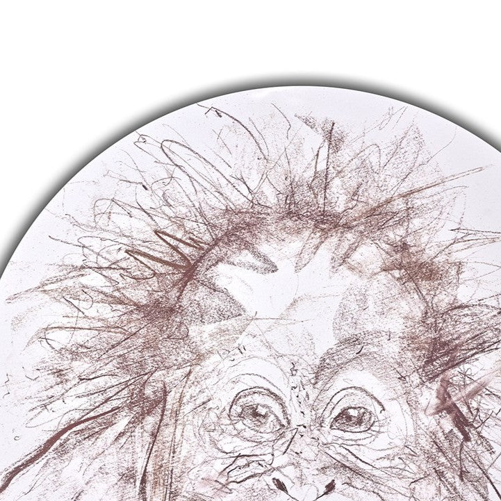 Baby Orangutan Study II