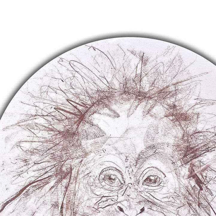Baby Orangutan Study II