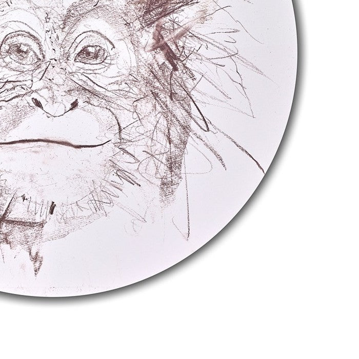 Baby Orangutan Study II