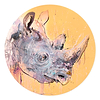 Black Rhino (Study)