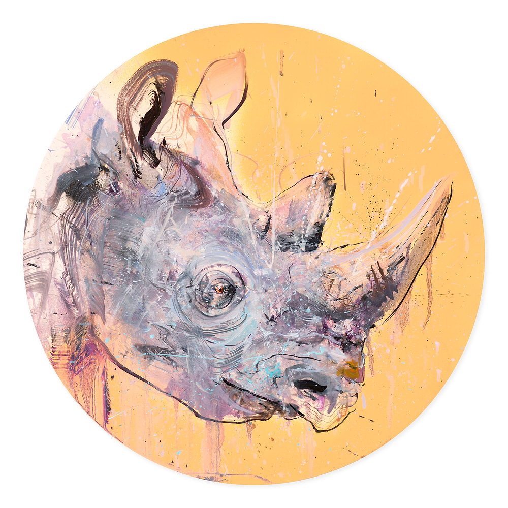 Black Rhino (Study)