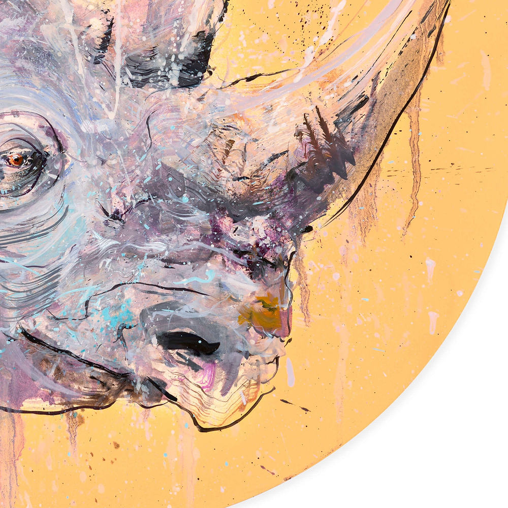 Black Rhino (Study)