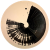 Quasar
