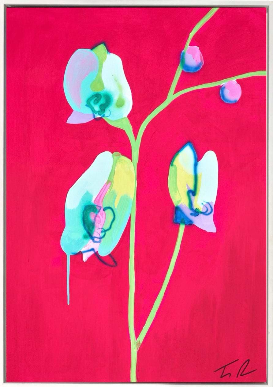 Orchid Red/Green