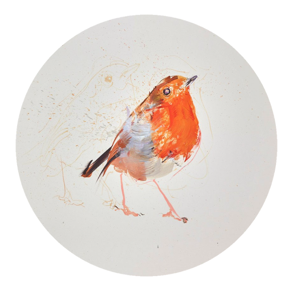 Robin Study IV