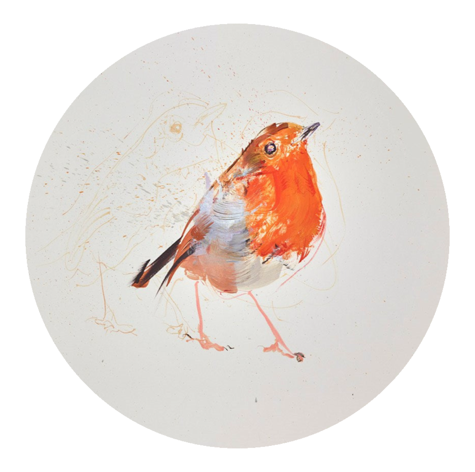 Robin Study IV