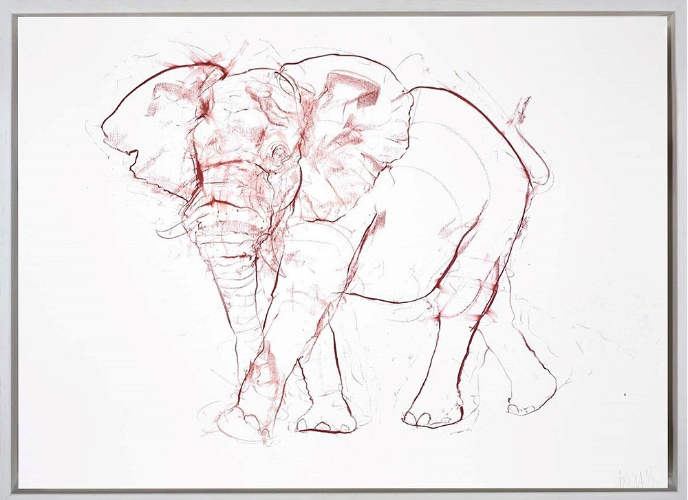 Elephant Sketch III