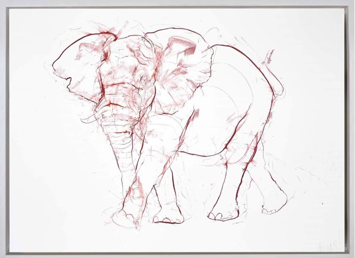 Elephant Sketch III