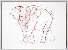 Elephant Sketch III