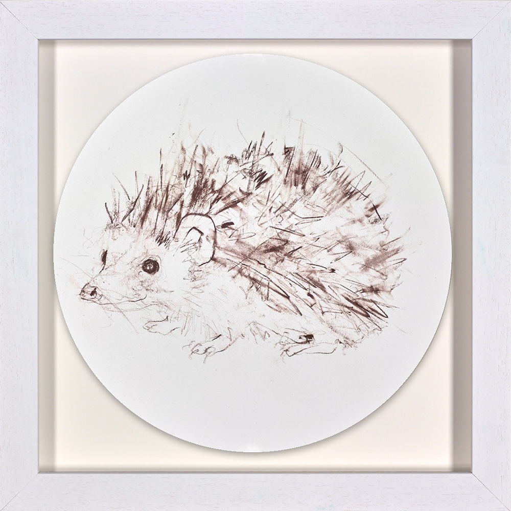 Hedgehog Study II