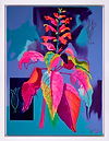 Rainbow Sage