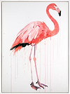 Flamingo II