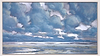 Pure Shores