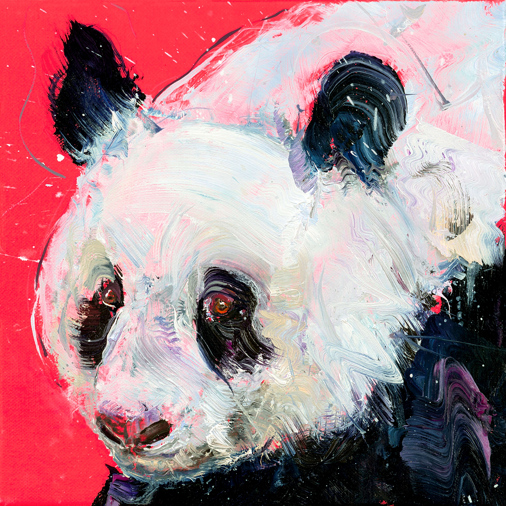 Panda II