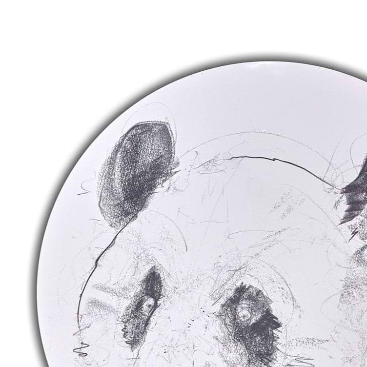 Giant Panda Study II