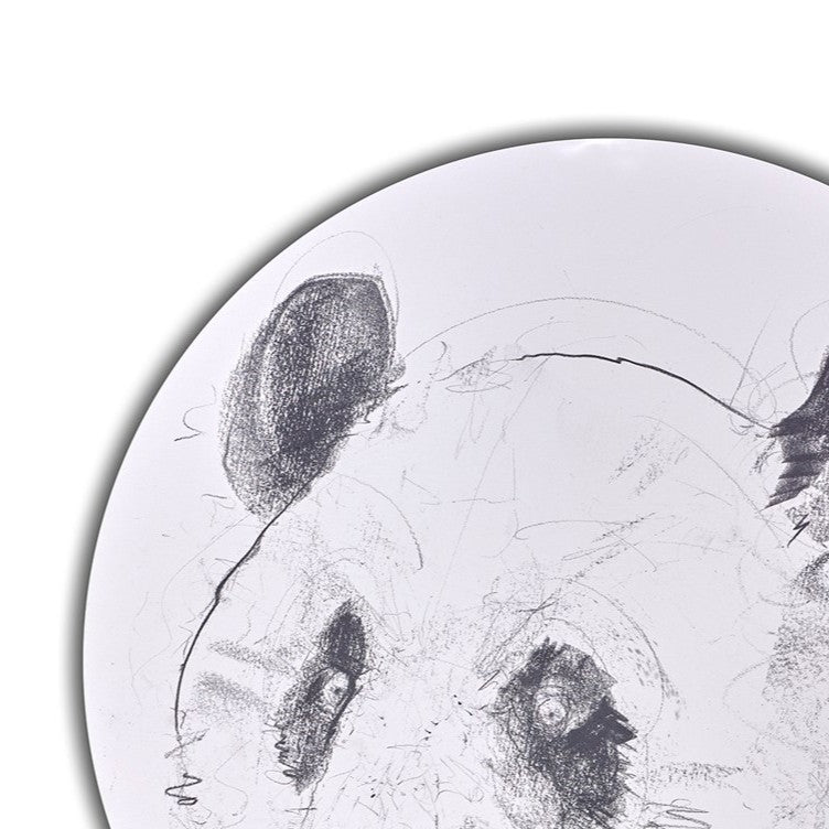 Giant Panda Study II